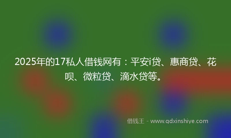 2025年的17私人借钱网有：平安i贷、惠商贷、花呗、微粒贷、滴水贷等。