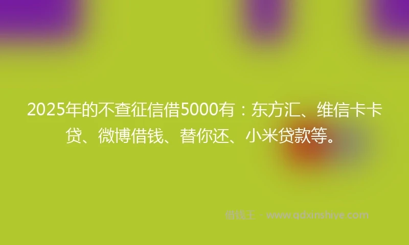 2025年的不查征信借5000有：东方汇、维信卡卡贷、微博借钱、替你还、小米贷款等。