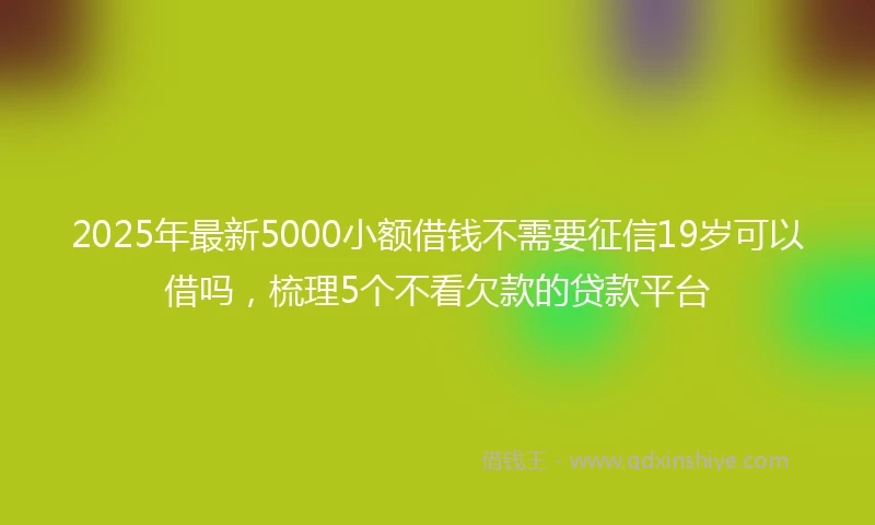 2025年最新5000小额借钱不需要征信19岁可以借吗，梳理5个不看欠款的贷款平台