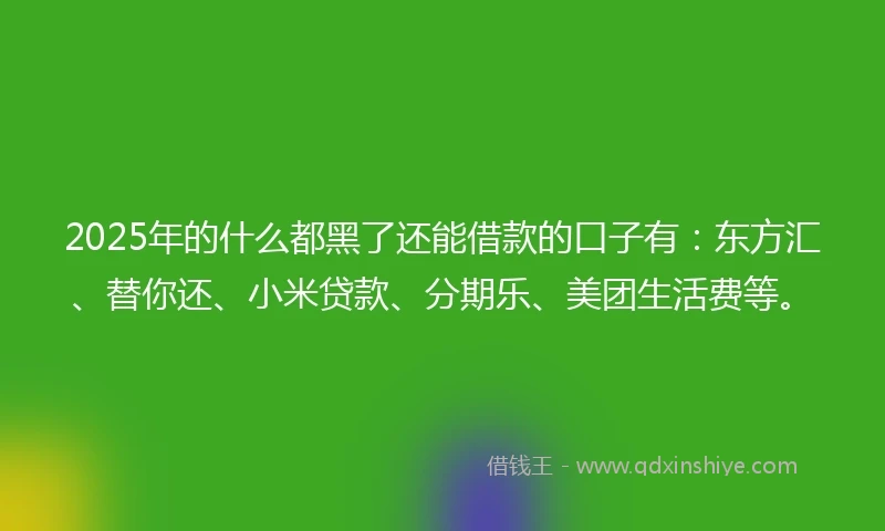 2025年的什么都黑了还能借款的口子有：东方汇、替你还、小米贷款、分期乐、美团生活费等。