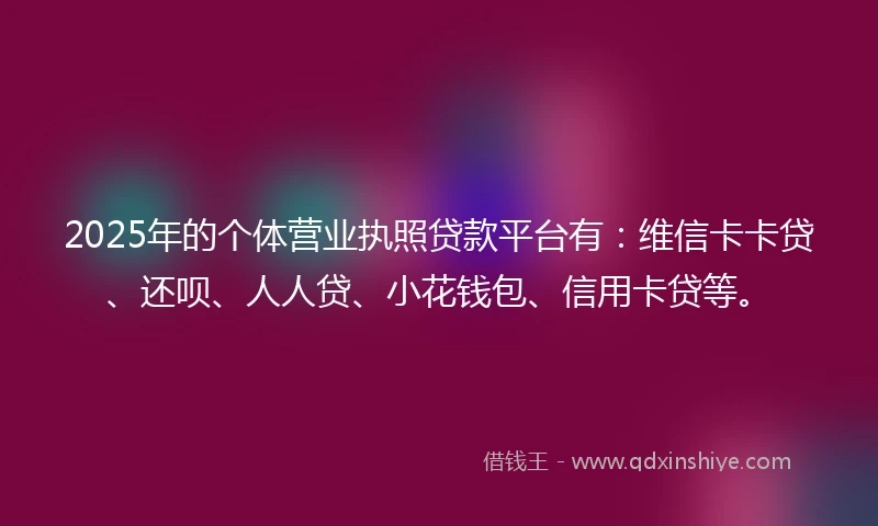 2025年的个体营业执照贷款平台有：维信卡卡贷、还呗、人人贷、小花钱包、信用卡贷等。