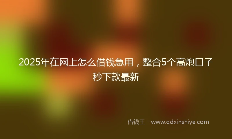 2025年在网上怎么借钱急用，整合5个高炮口子秒下款最新