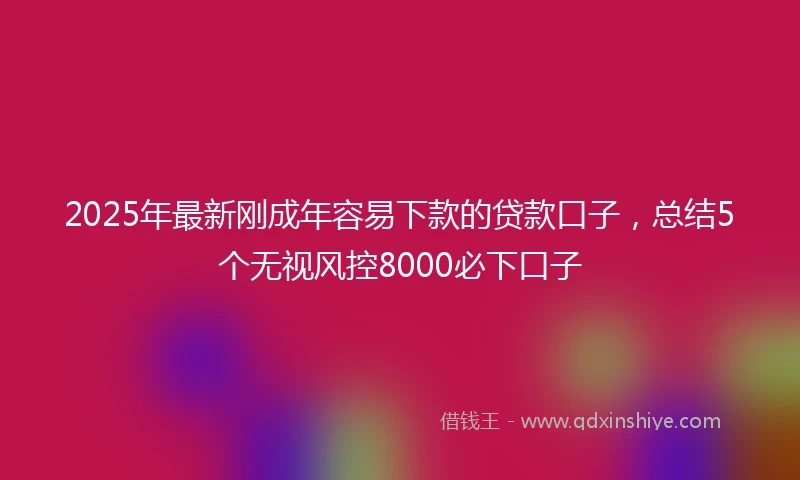 2025年最新刚成年容易下款的贷款口子，总结5个无视风控8000必下口子