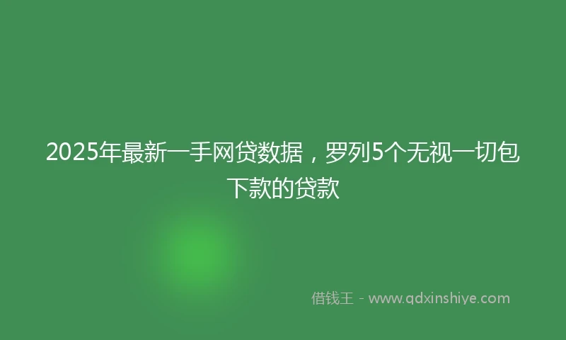 2025年最新一手网贷数据，罗列5个无视一切包下款的贷款
