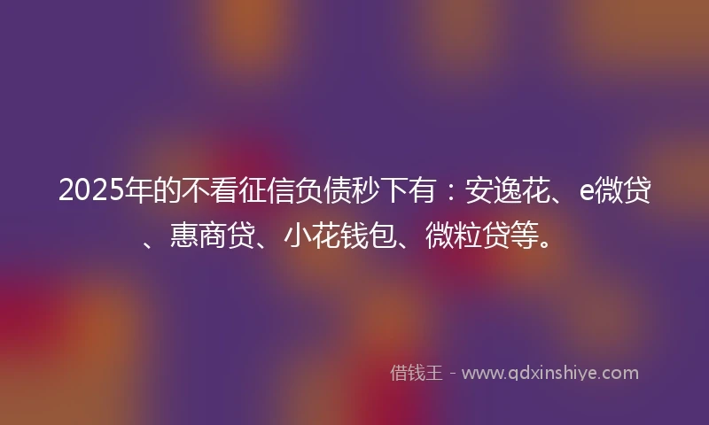 2025年的不看征信负债秒下有：安逸花、e微贷、惠商贷、小花钱包、微粒贷等。