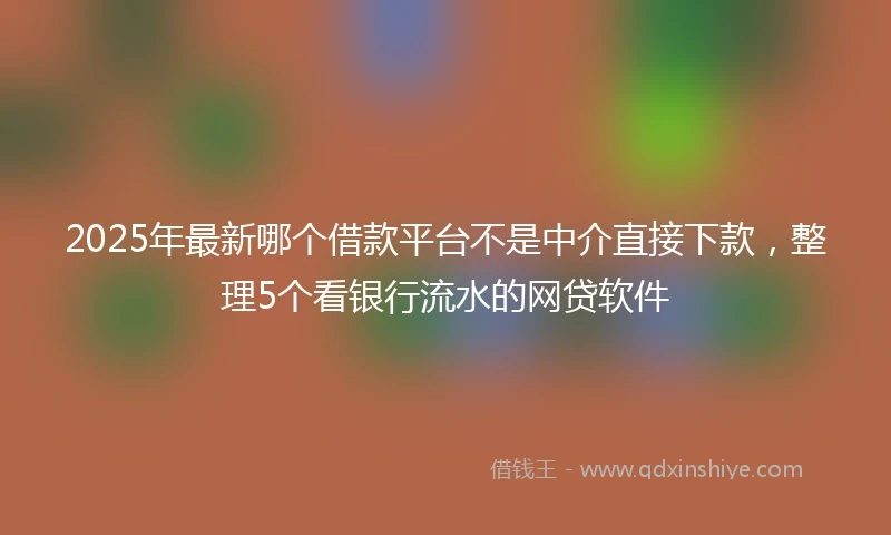 2025年最新哪个借款平台不是中介直接下款，整理5个看银行流水的网贷软件