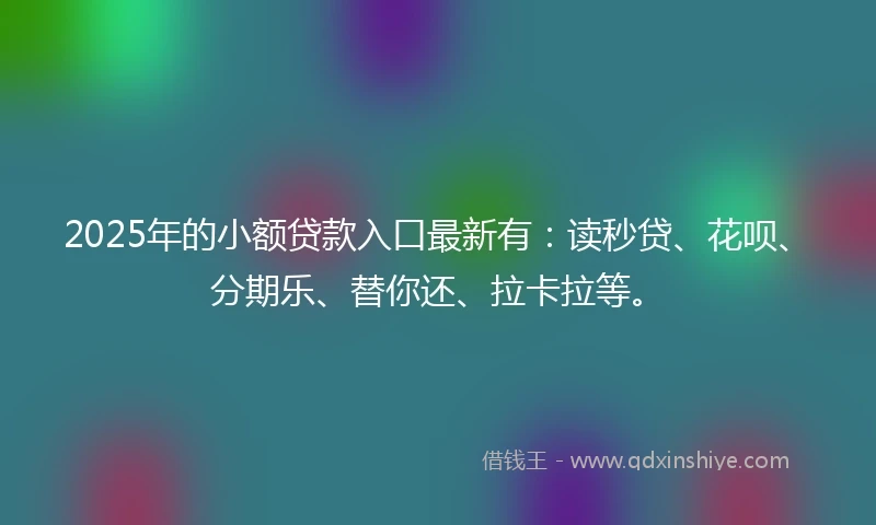 2025年的小额贷款入口最新有：读秒贷、花呗、分期乐、替你还、拉卡拉等。