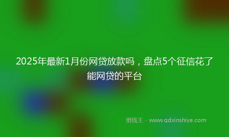 2025年最新1月份网贷放款吗，盘点5个征信花了能网贷的平台