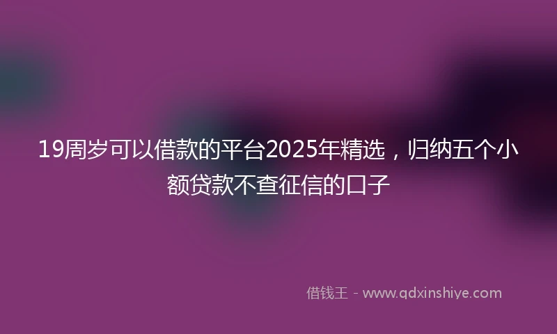 19周岁可以借款的平台2025年精选，归纳五个小额贷款不查征信的口子