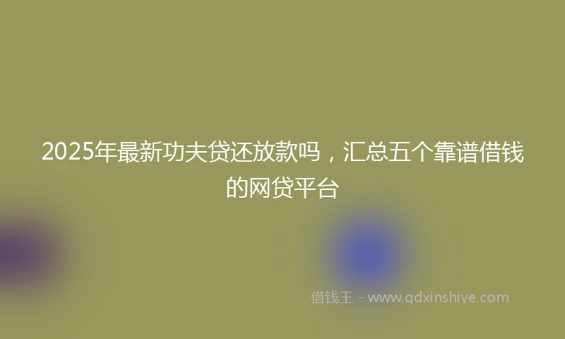 2025年最新功夫贷还放款吗，汇总五个靠谱借钱的网贷平台