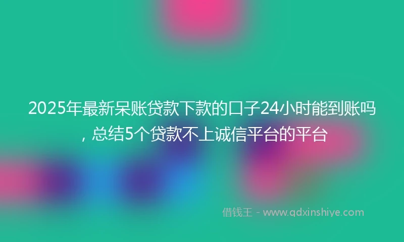 2025年最新呆账贷款下款的口子24小时能到账吗，总结5个贷款不上诚信平台的平台