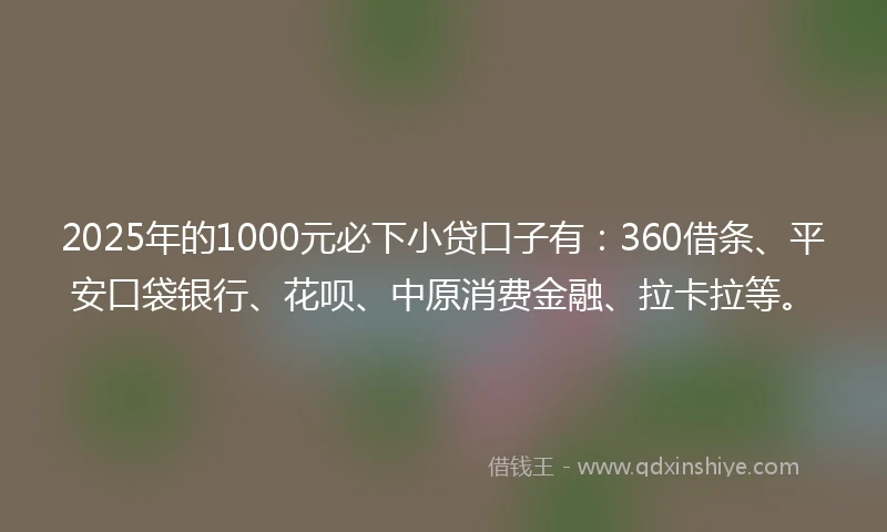 2025年的1000元必下小贷口子有：360借条、平安口袋银行、花呗、中原消费金融、拉卡拉等。