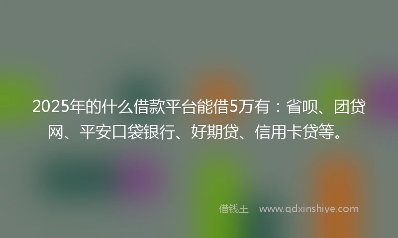 2025年的什么借款平台能借5万有：省呗、团贷网、平安口袋银行、好期贷、信用卡贷等。