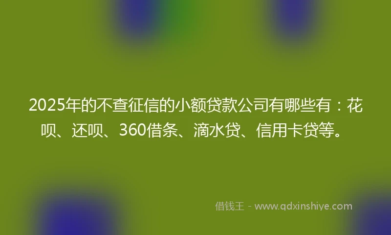 2025年的不查征信的小额贷款公司有哪些有：花呗、还呗、360借条、滴水贷、信用卡贷等。