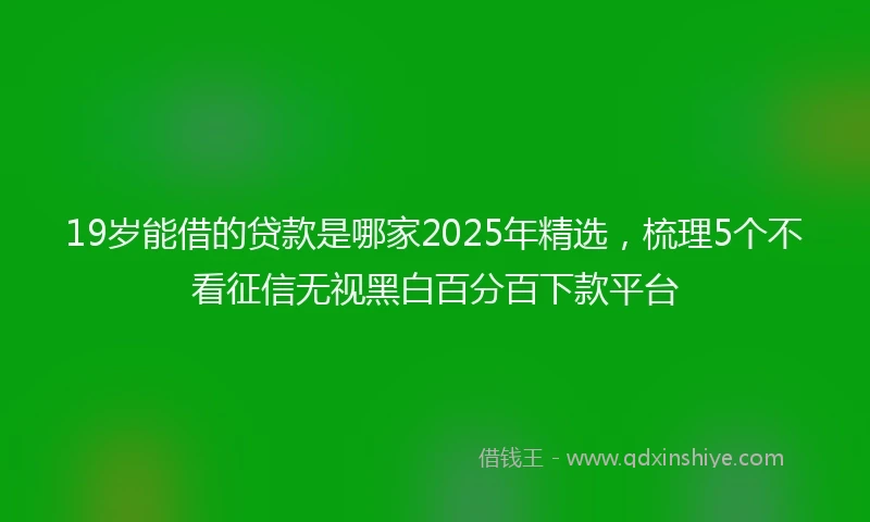 19岁能借的贷款是哪家2025年精选，梳理5个不看征信无视黑白百分百下款平台