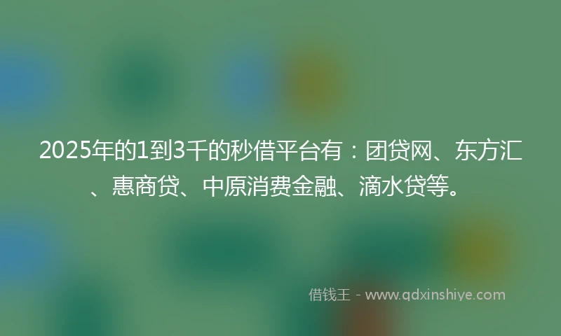 2025年的1到3千的秒借平台有：团贷网、东方汇、惠商贷、中原消费金融、滴水贷等。