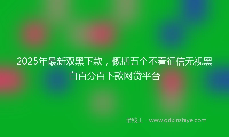 2025年最新双黑下款，概括五个不看征信无视黑白百分百下款网贷平台