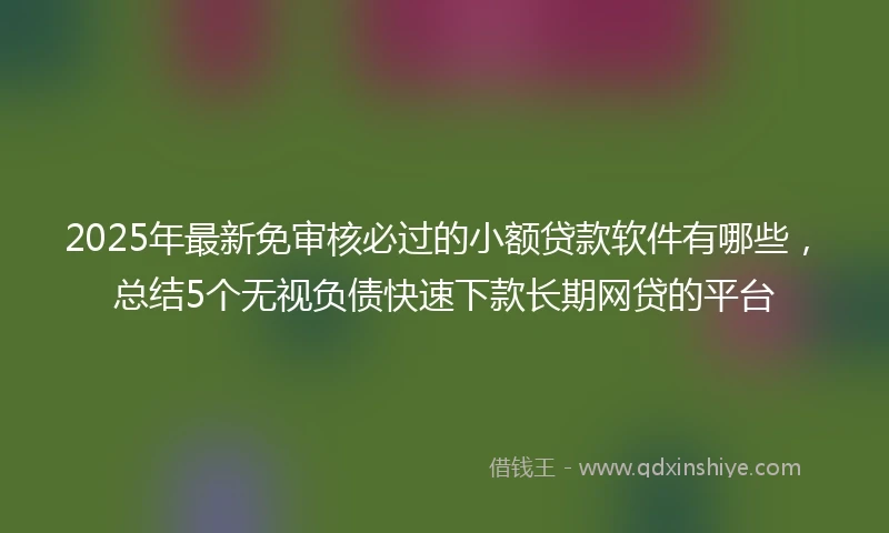 2025年最新免审核必过的小额贷款软件有哪些，总结5个无视负债快速下款长期网贷的平台