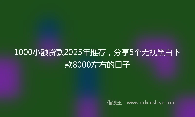 1000小额贷款2025年推荐，分享5个无视黑白下款8000左右的口子
