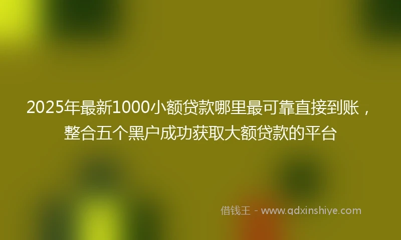 2025年最新1000小额贷款哪里最可靠直接到账，整合五个黑户成功获取大额贷款的平台