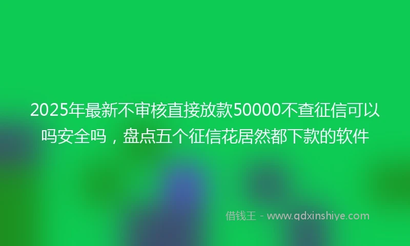 2025年最新不审核直接放款50000不查征信可以吗安全吗，盘点五个征信花居然都下款的软件