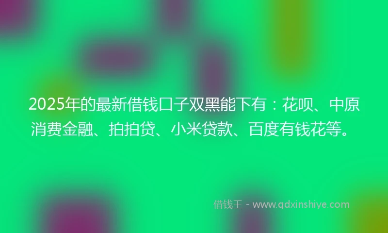 2025年的最新借钱口子双黑能下有：花呗、中原消费金融、拍拍贷、小米贷款、百度有钱花等。
