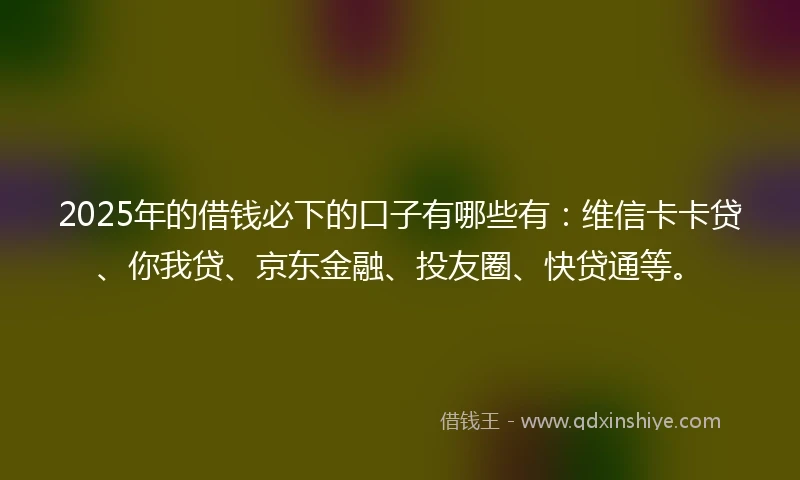 2025年的借钱必下的口子有哪些有：维信卡卡贷、你我贷、京东金融、投友圈、快贷通等。