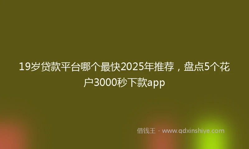 19岁贷款平台哪个最快2025年推荐，盘点5个花户3000秒下款app