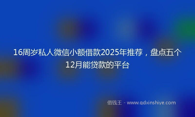 16周岁私人微信小额借款2025年推荐，盘点五个12月能贷款的平台