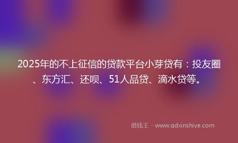 2025年的不上征信的贷款平台小芽贷有：投友圈、东方汇、还呗、51人品贷、滴水贷等。