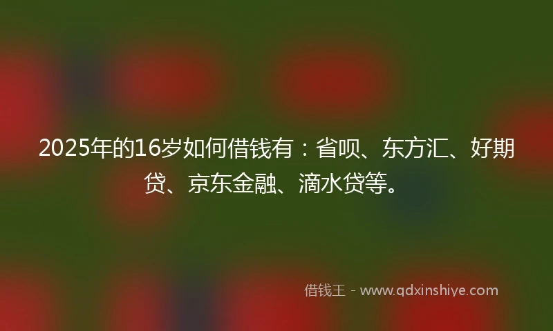 2025年的16岁如何借钱有：省呗、东方汇、好期贷、京东金融、滴水贷等。