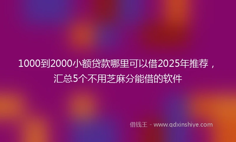 1000到2000小额贷款哪里可以借2025年推荐，汇总5个不用芝麻分能借的软件