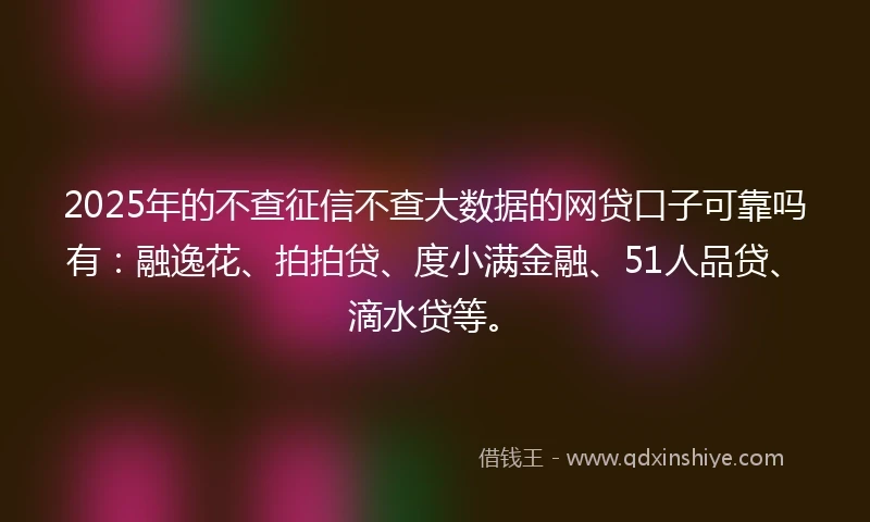 2025年的不查征信不查大数据的网贷口子可靠吗有：融逸花、拍拍贷、度小满金融、51人品贷、滴水贷等。