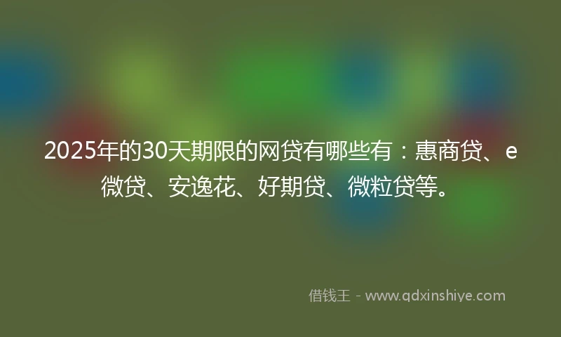 2025年的30天期限的网贷有哪些有：惠商贷、e微贷、安逸花、好期贷、微粒贷等。