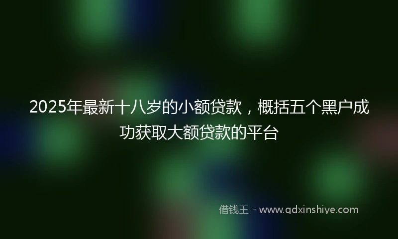 2025年最新十八岁的小额贷款，概括五个黑户成功获取大额贷款的平台