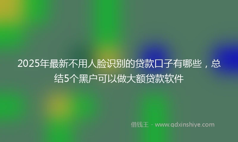 2025年最新不用人脸识别的贷款口子有哪些，总结5个黑户可以做大额贷款软件