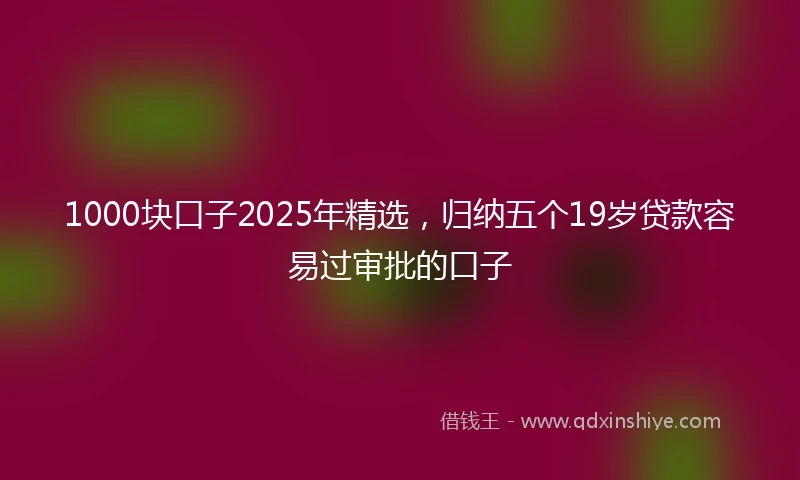 1000块口子2025年精选，归纳五个19岁贷款容易过审批的口子