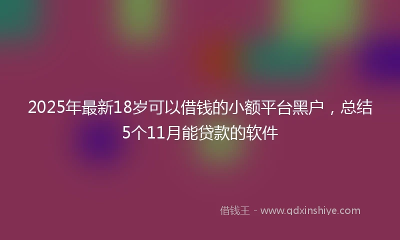 2025年最新18岁可以借钱的小额平台黑户，总结5个11月能贷款的软件