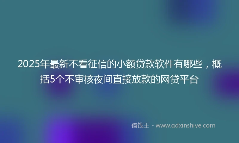 2025年最新不看征信的小额贷款软件有哪些，概括5个不审核夜间直接放款的网贷平台