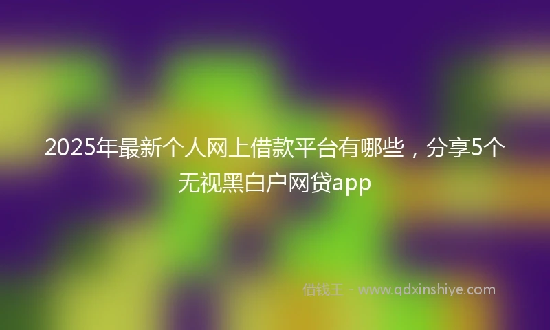 2025年最新个人网上借款平台有哪些，分享5个无视黑白户网贷app