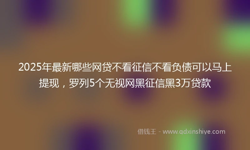 2025年最新哪些网贷不看征信不看负债可以马上提现，罗列5个无视网黑征信黑3万贷款