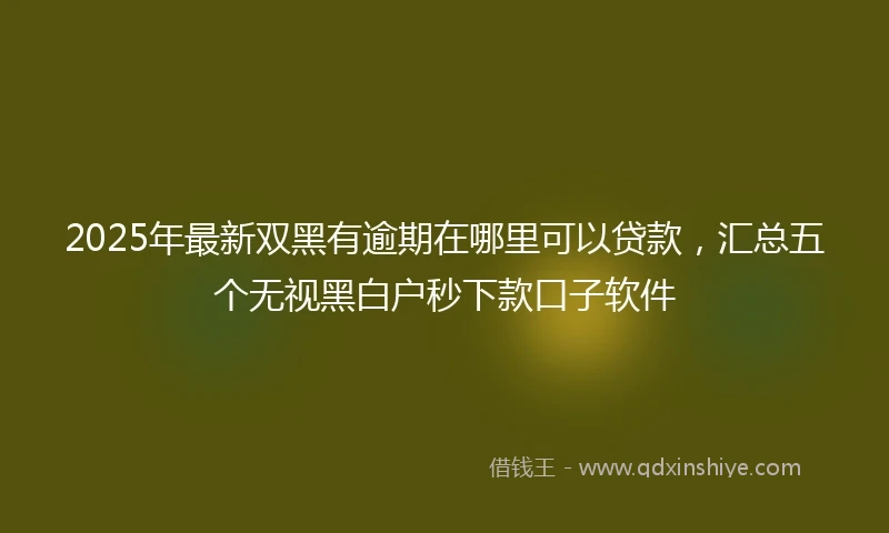 2025年最新双黑有逾期在哪里可以贷款，汇总五个无视黑白户秒下款口子软件