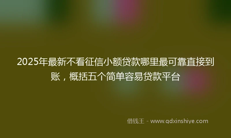 2025年最新不看征信小额贷款哪里最可靠直接到账，概括五个简单容易贷款平台