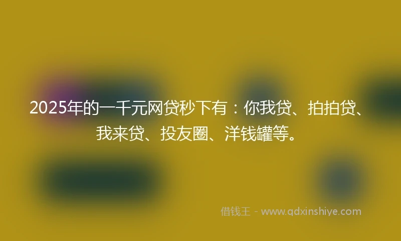 2025年的一千元网贷秒下有:你我贷、拍拍贷、我来贷、投友圈、洋钱罐等。