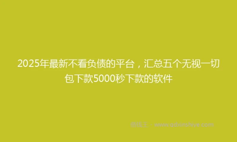2025年最新不看负债的平台，汇总五个无视一切包下款5000秒下款的软件