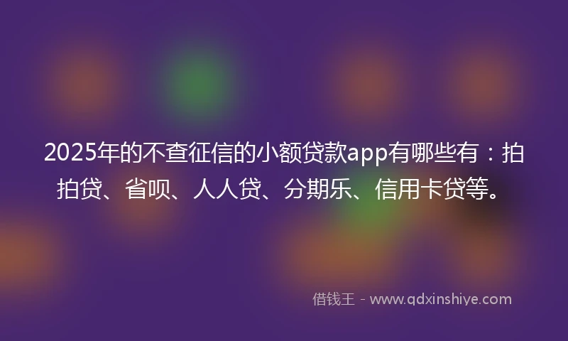 2025年的不查征信的小额贷款app有哪些有：拍拍贷、省呗、人人贷、分期乐、信用卡贷等。