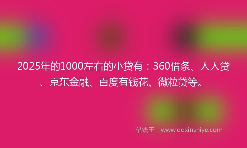 2025年的1000左右的小贷有：360借条、人人贷、京东金融、百度有钱花、微粒贷等。
