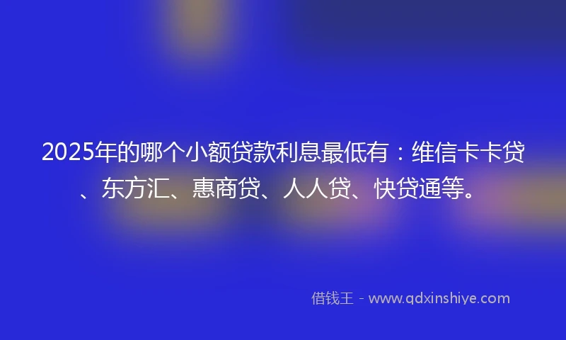 2025年的哪个小额贷款利息最低有：维信卡卡贷、东方汇、惠商贷、人人贷、快贷通等。