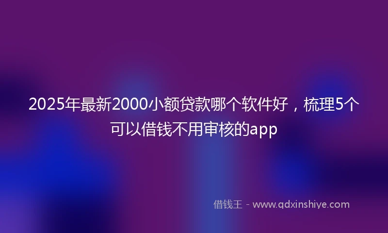 2025年最新2000小额贷款哪个软件好，梳理5个可以借钱不用审核的app