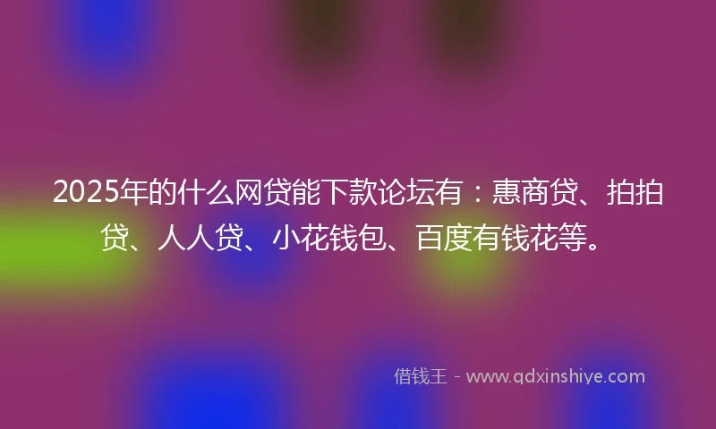 2025年的什么网贷能下款论坛有：惠商贷、拍拍贷、人人贷、小花钱包、百度有钱花等。
